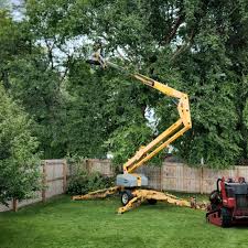 Best Hazardous Tree Removal  in Whitfield, FL